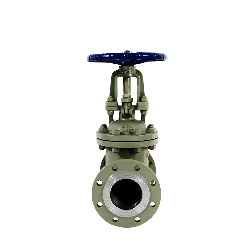 Carbon Steel Flange Manual Gate Valve Model DN100CF8 for Water Gas Oil