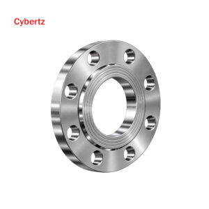 Stainless Steel Weld Neck Flange 304/316
