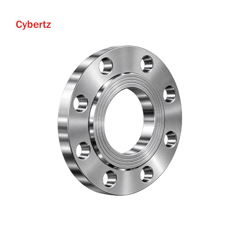 Stainless Steel Weld Neck Flange 304/316